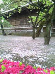 09.04.21.05.jpg