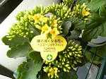 09.04.24.01.jpg