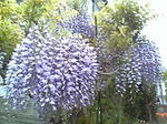 09.04.24.03.jpg