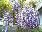 09.04.24.04.jpg