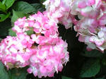 09.06.22-2.jpg