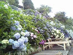 09.06.22-3.jpg