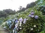 09.06.22-4.jpg