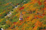 2006.10.9大観峰の紅葉の様子