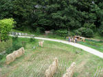 きらの里の風景（竹ぶえから）
