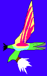 うんたらかんたら　鳥
