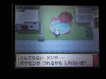 リゾートエリアのヌシポケモン Croquette Village