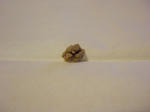DSCF6507.jpg