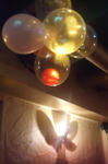 DSCF1972.jpg