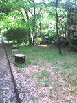 ST280036.JPG