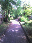 ST280037.JPG