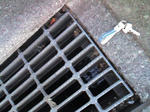 ST280044.JPG