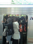 ST280043.JPG