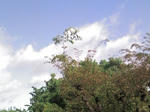ST280039.JPG
