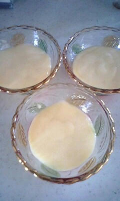 090305_003.jpg