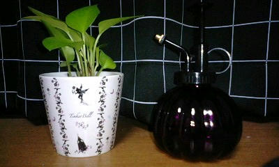 091009_001.jpg