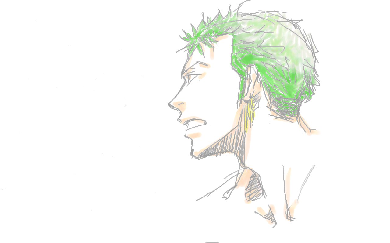 zoro1.jpg
