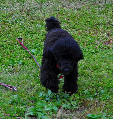 a-DSC_1050.jpg