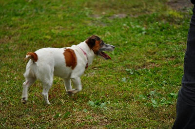 a-DSC_1075.jpg