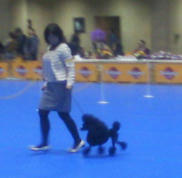 201112181025000.jpg
