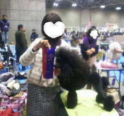 201112181300000.jpg