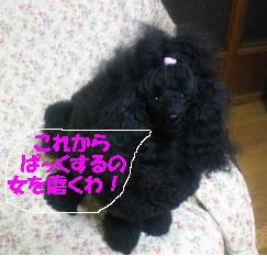 201112231909000.jpg