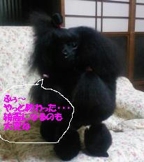 201112232145000.jpg