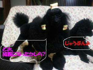 201112232325000.jpg