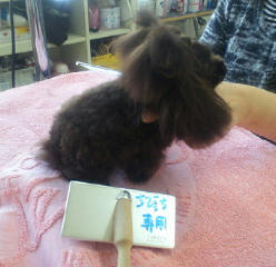 201112251251000.jpg