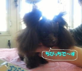 201112251252000.jpg