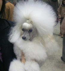 201112181141000.jpg