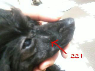 201202092139000.jpg