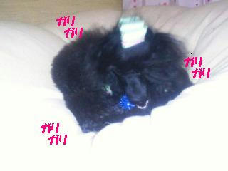 201202151930000.jpg