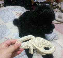 201202151931001.jpg