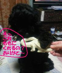 201202151932000.jpg