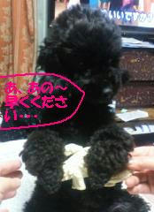 201202151932002.jpg