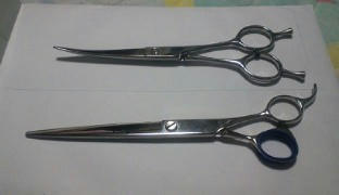 201202171815001.jpg