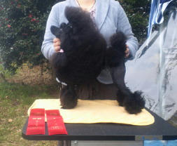 201203181236000.jpg