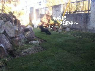 201203241642000.jpg