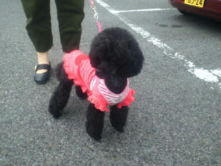 201206041740000.jpg