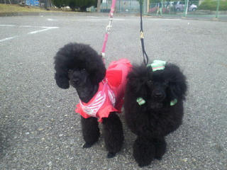 201206041751001.jpg