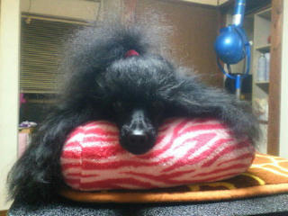 201206262303001.jpg