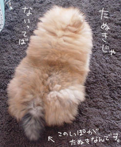 2d6d897e.jpg