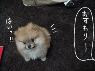 e0d90038.jpg