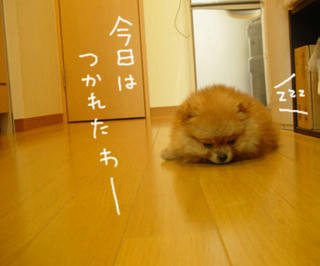 465c5b80.jpg