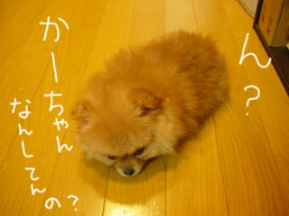 bfb91223.jpg
