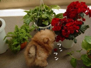 f32982d5.jpg