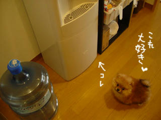 4015c695.jpg