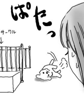 003.jpg