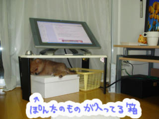 5b477f17.jpg